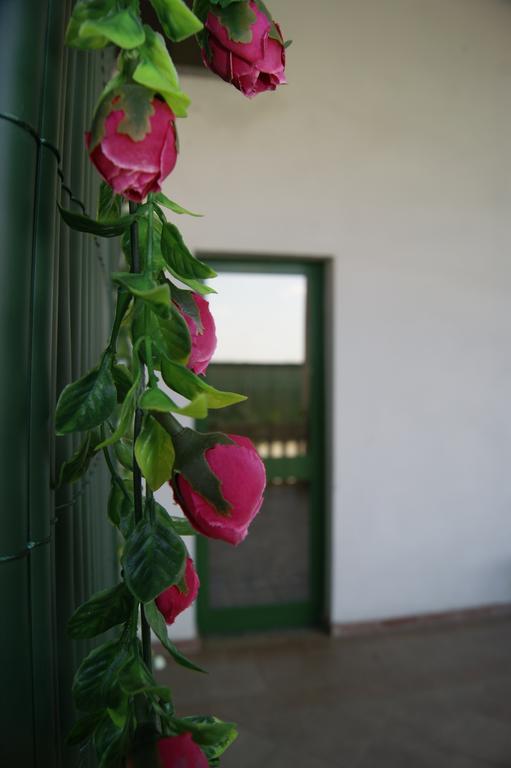 Villa Agriturismo La Valbona à San Martino Siccomario Extérieur photo